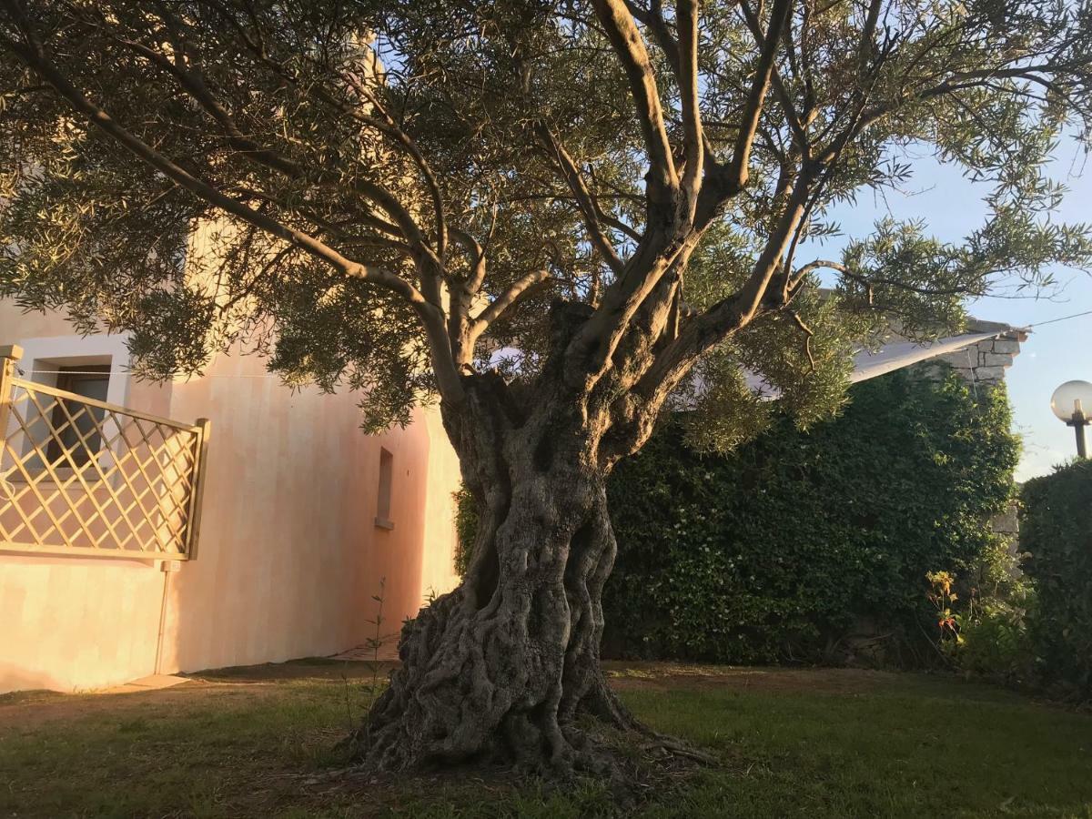 Esmeralda'S Rooms Porto San Paolo  Dış mekan fotoğraf